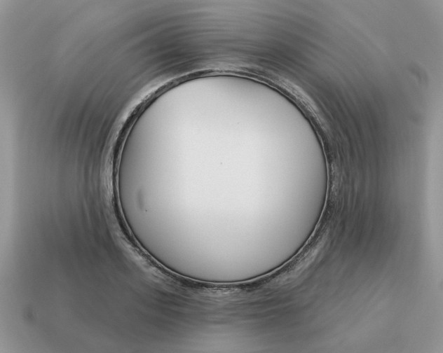 X0000115050939200911091422