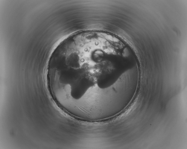 X0000115050941200911091422