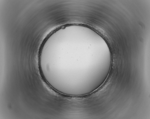 X0000115050942200911091422
