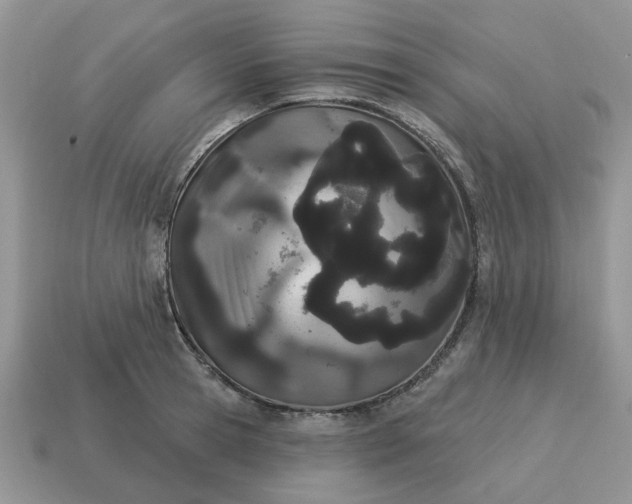 X0000115050945200911091422