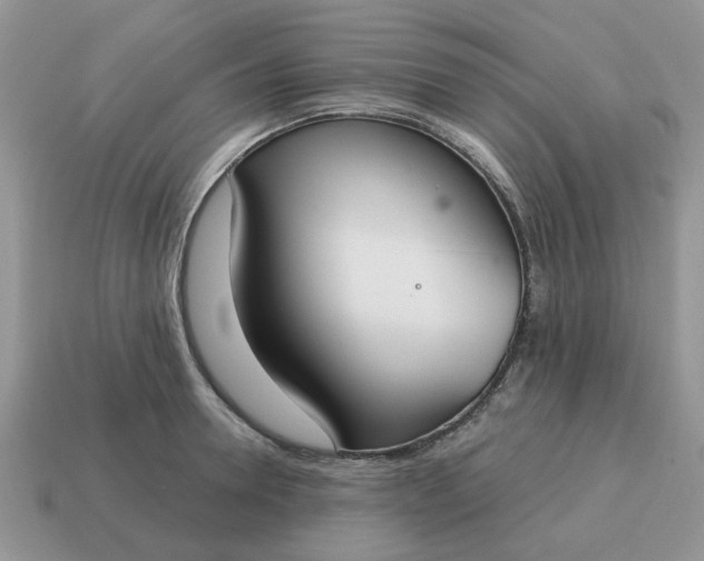X0000115050946200911091422