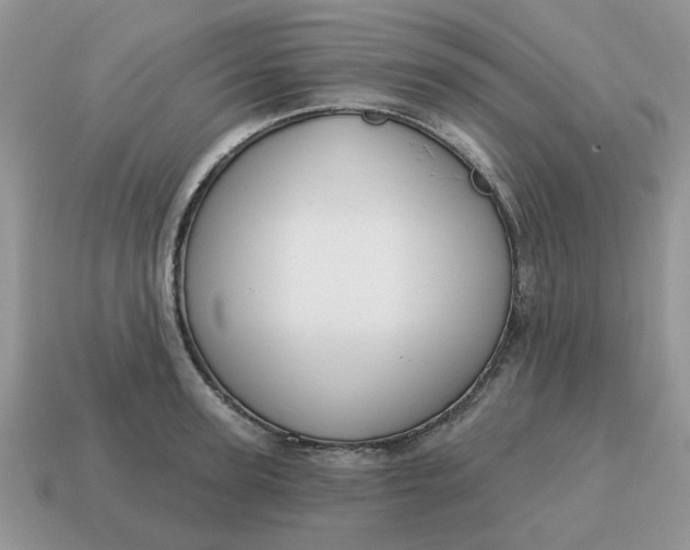 X0000115050947200911091422