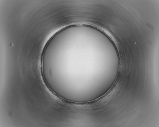 X0000115050951200911091422