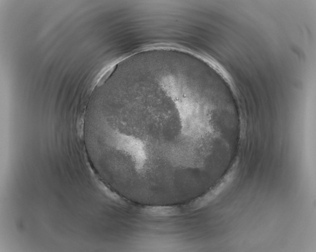 X0000115050953200911091422