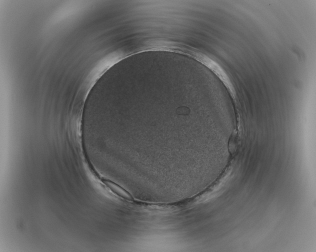 X0000115050954200911091422