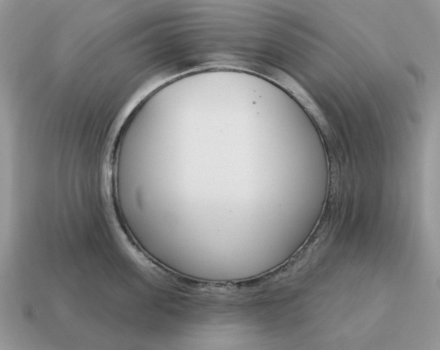 X0000115050955200911091422