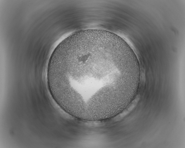 X0000115050957200911091422