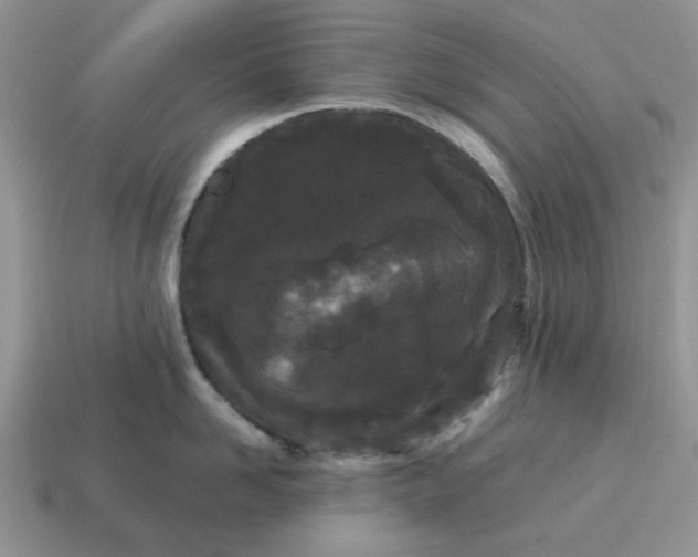 X0000115050958200911091422