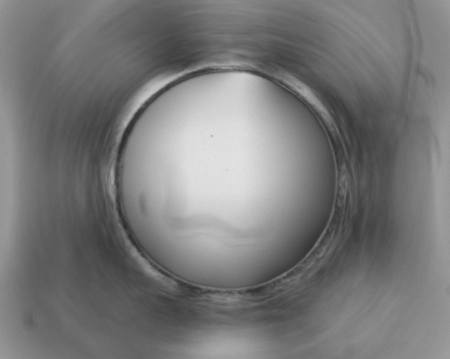 X0000115050959200911091422