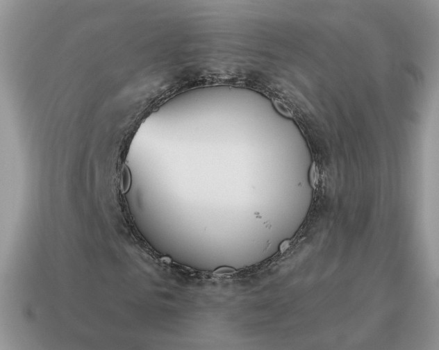 X0000115050961200911091422