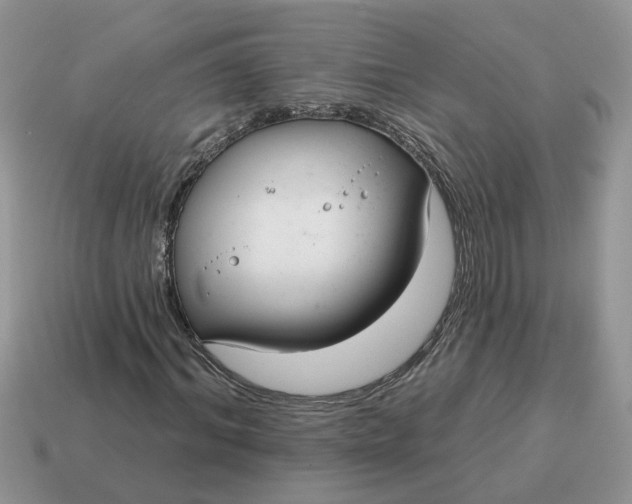 X0000115050964200911091422