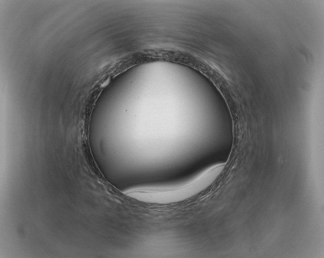 X0000115050965200911091422