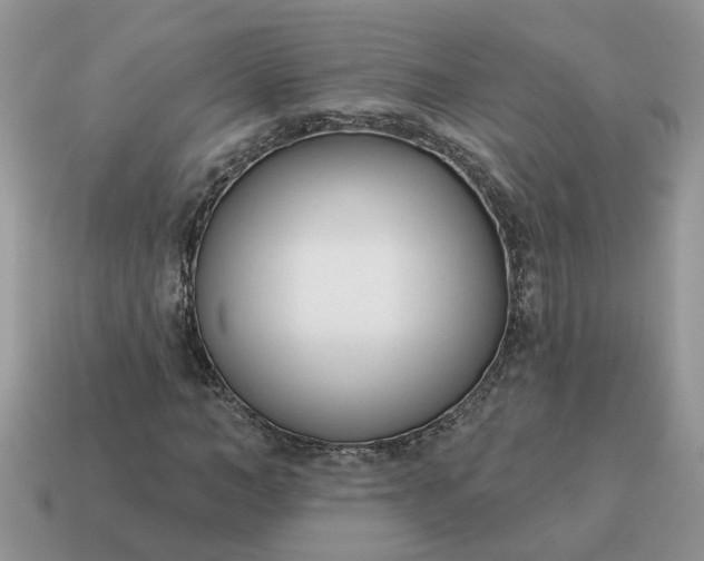 X0000115050966200911091422