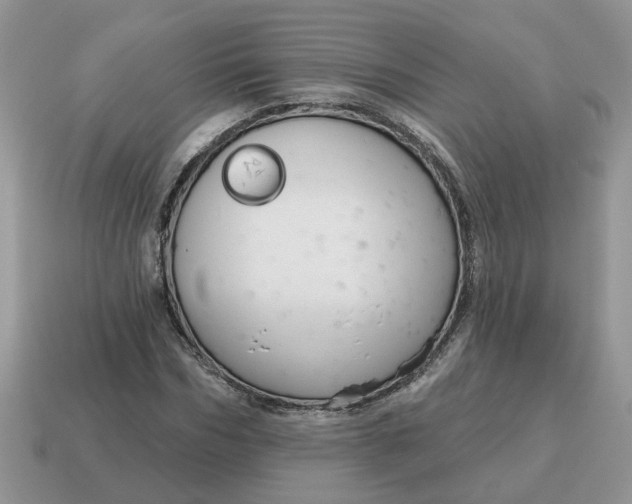 X0000115050970200911091422
