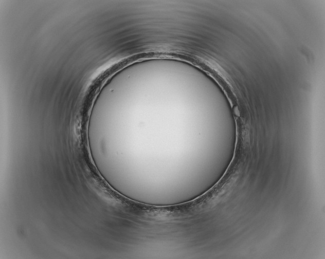 X0000115050971200911091422