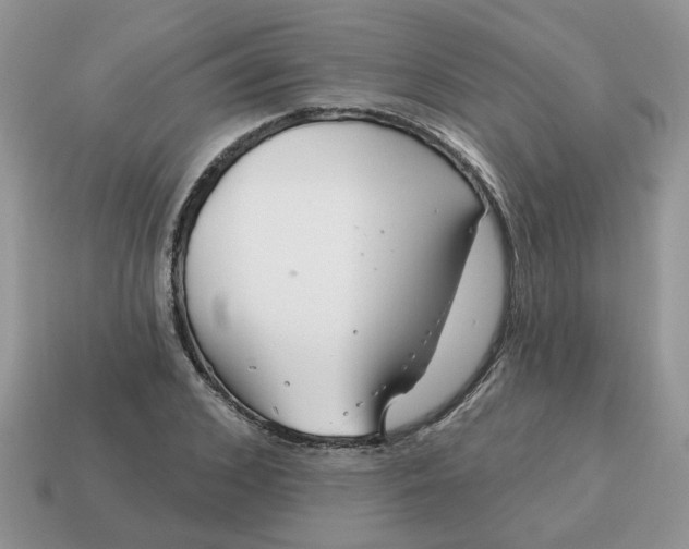 X0000115050976200911091422