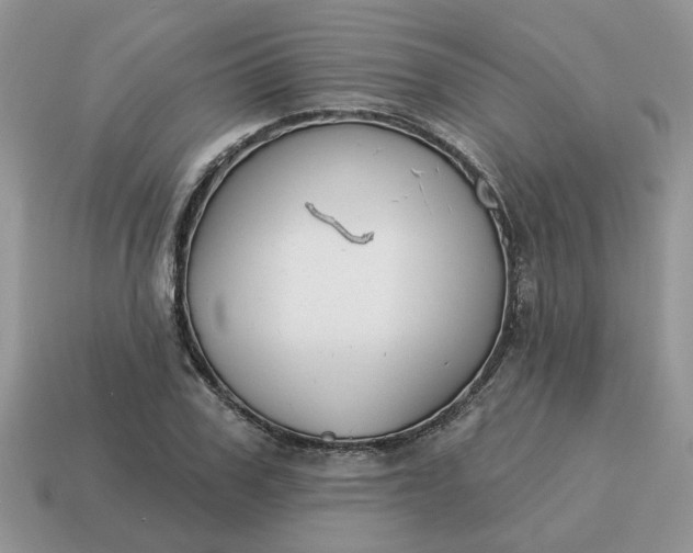X0000115050979200911091422