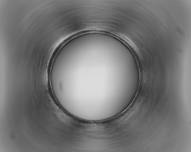 X0000115050980200911091422