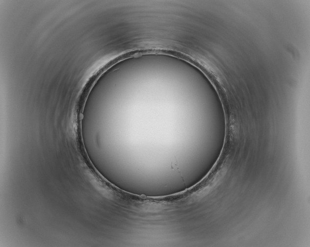 X0000115050981200911091422