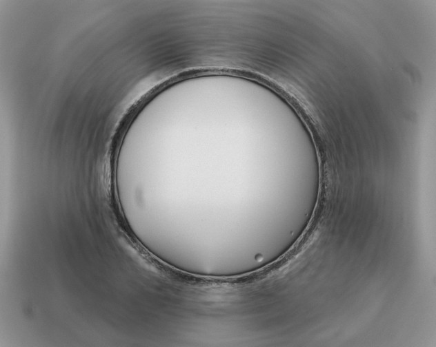 X0000115050982200911091421