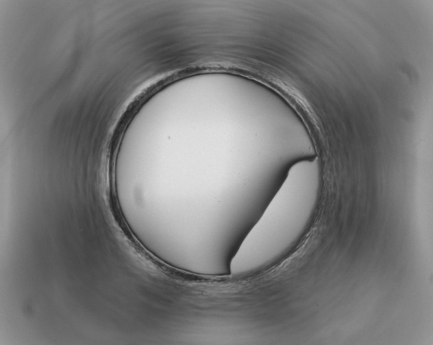 X0000115050984200911091421