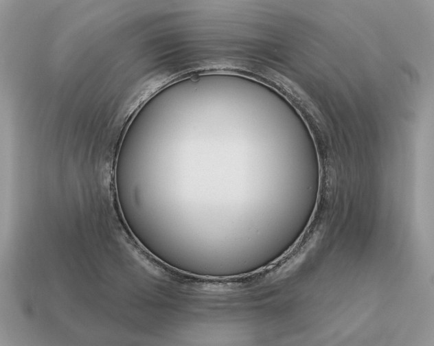 X0000115050985200911091421