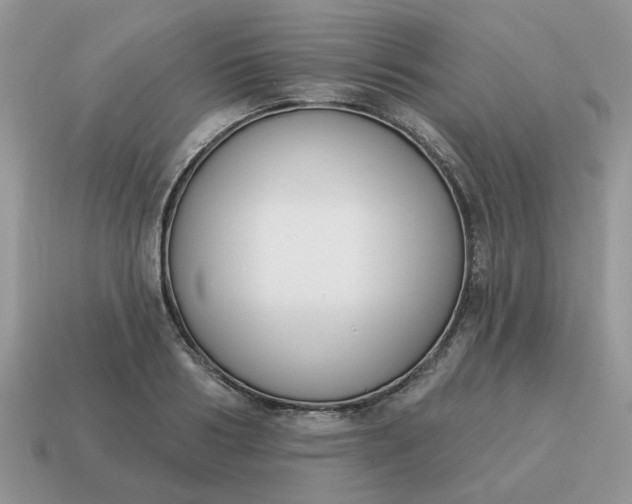 X0000115050986200911091421