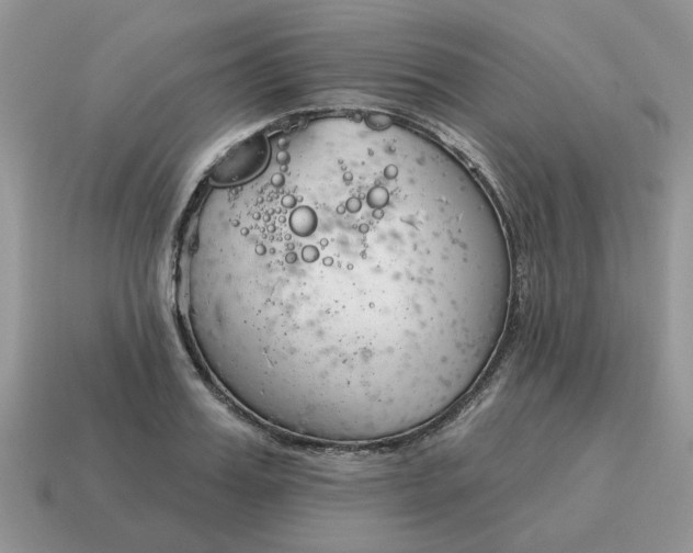 X0000115050987200911091421