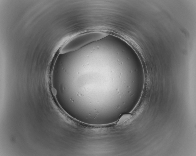 X0000115050989200911091421