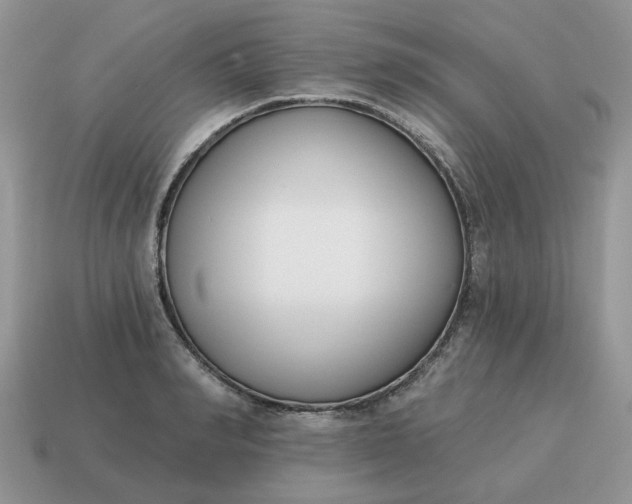 X0000115050990200911091421
