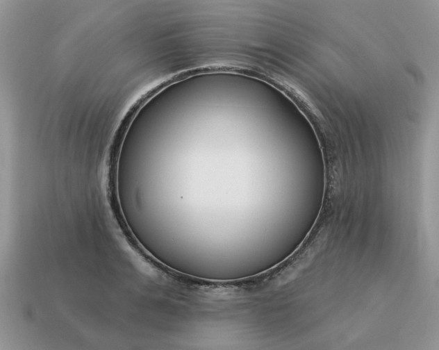 X0000115050991200911091421