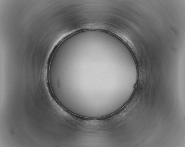 X0000115050992200911091421