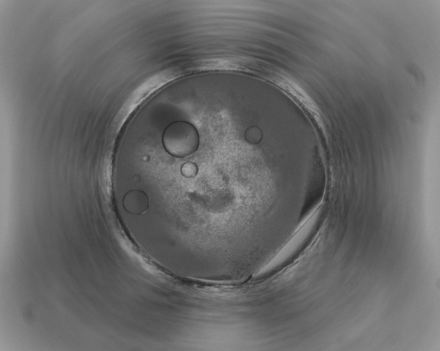 X0000115050994200911091421