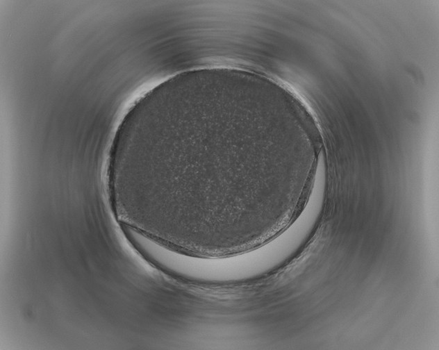 X0000115050995200911091421
