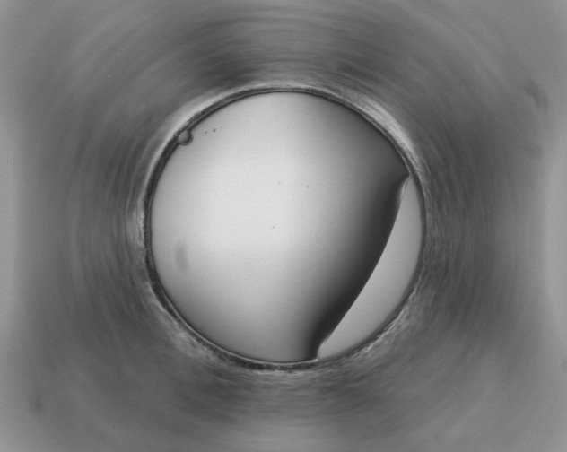 X0000115050996200911091421
