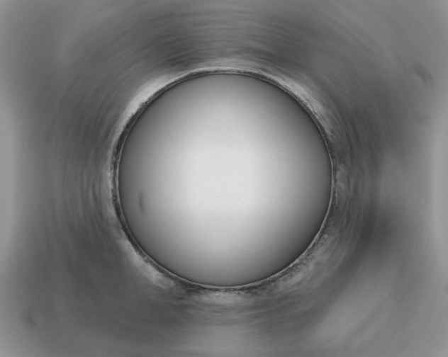 X0000115050998200911091421