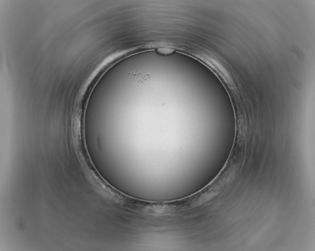 X0000115051000200911091421