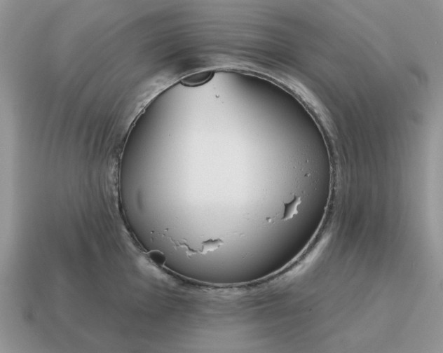 X0000115051001200911091421
