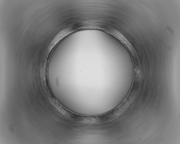 X0000115051002200911091421