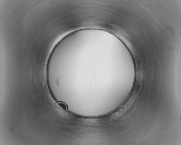 X0000115051004200911091421