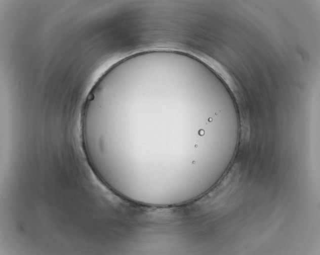 X0000115051006200911091421