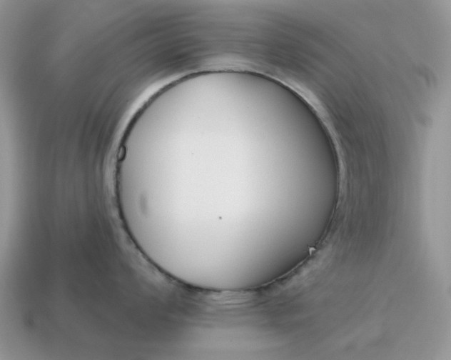 X0000115051008200911091421