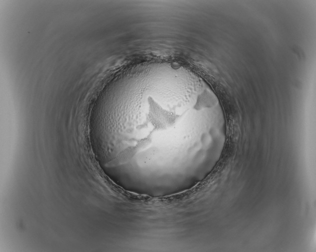X0000115051009200911091420