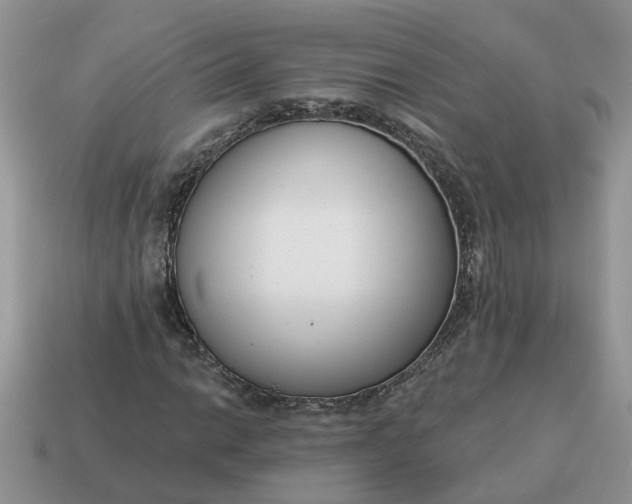 X0000115051014200911091420