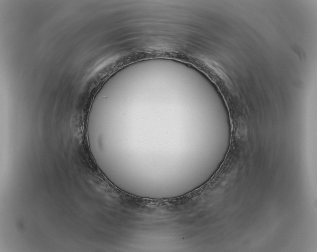 X0000115051015200911091420