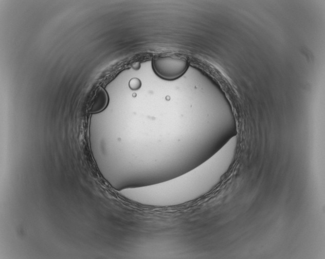 X0000115051016200911091420