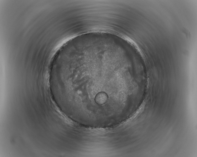X0000115051019200911091421