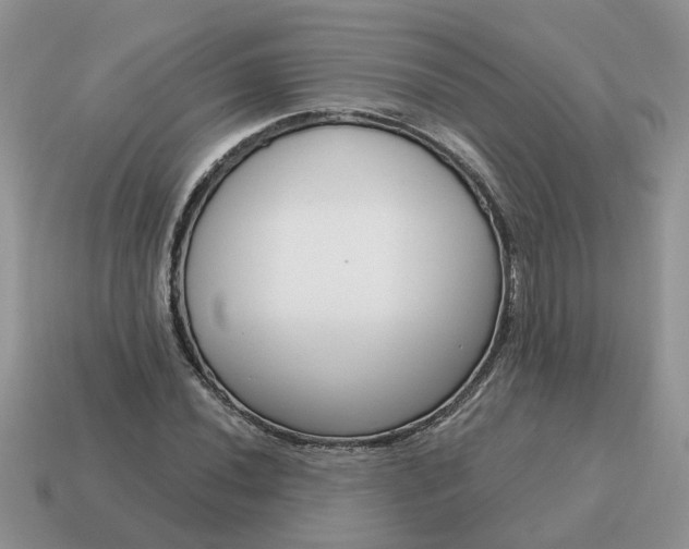 X0000115051020200911091421