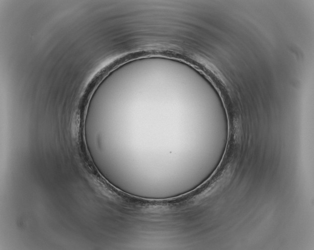 X0000115051021200911091421