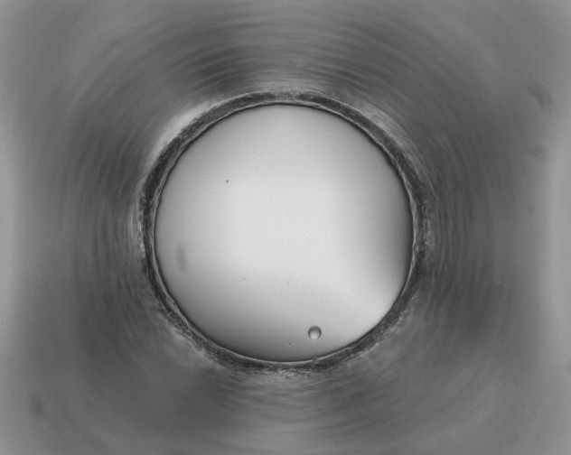 X0000115051022200911091421